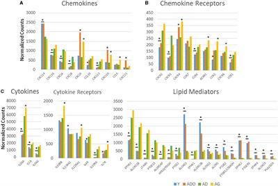 Oral Microbiome and Gingival Gene Expression of Inflammatory Biomolecules With Aging and Periodontitis